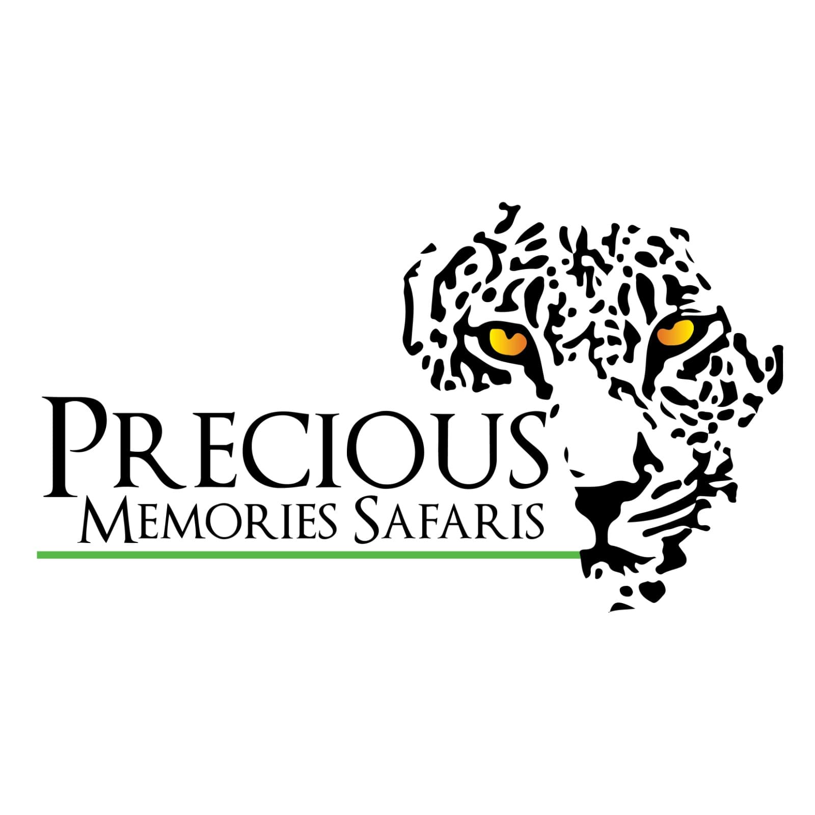 PRECIOUS MEMORIES SAFARIS
