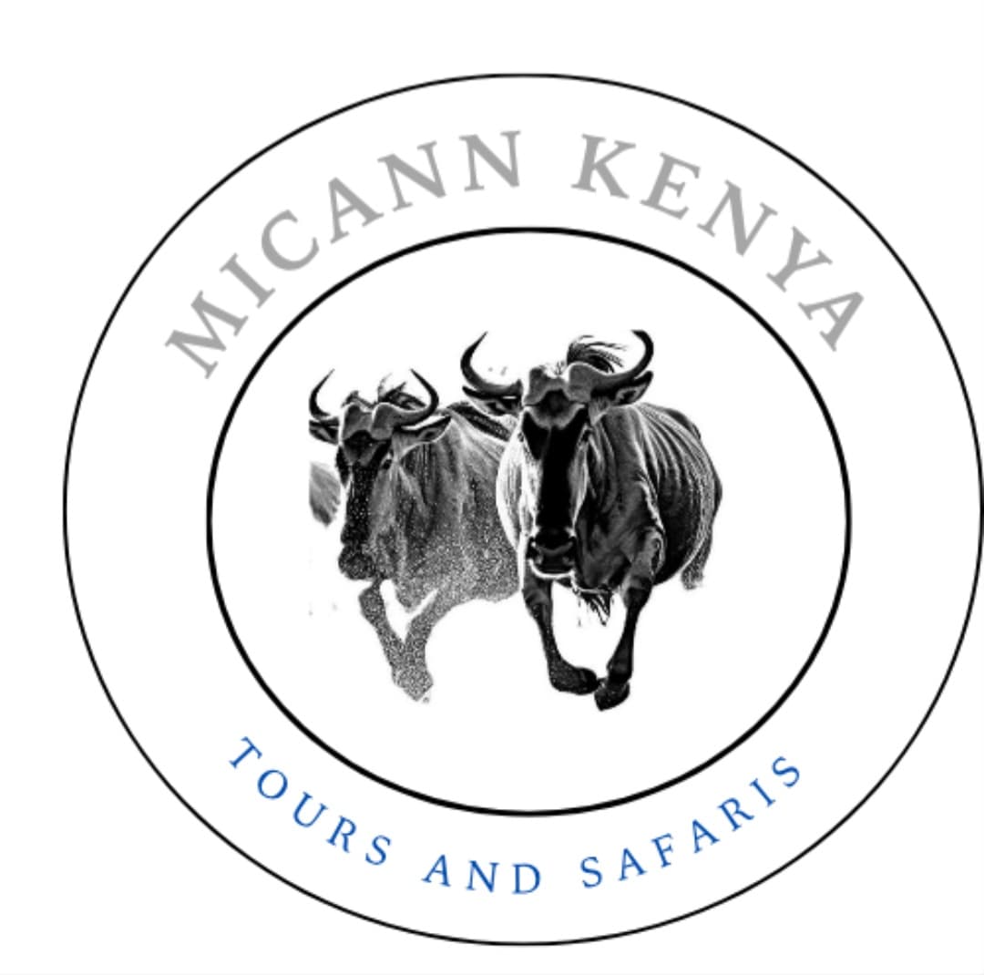 Micann Kenya Tours and Safaris
