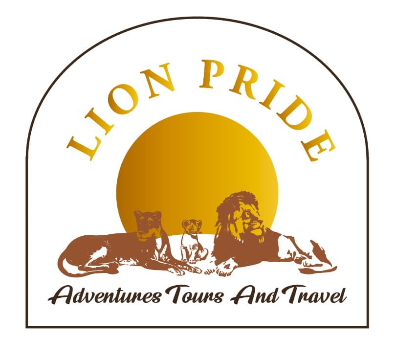 LION PRIDE ADVENTURES TOURS AND TRAVEL