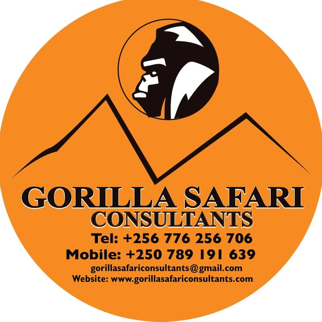 Gorilla Consultants Limited