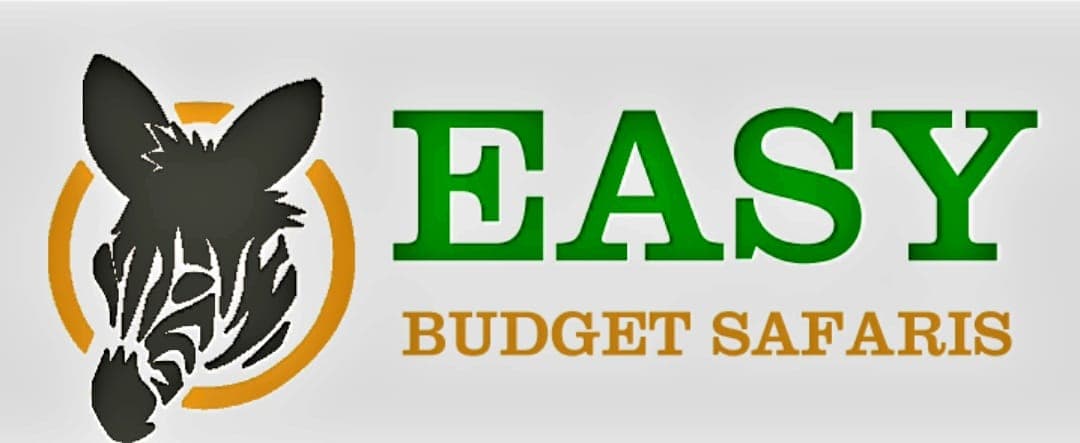 Easy Budget Safaris