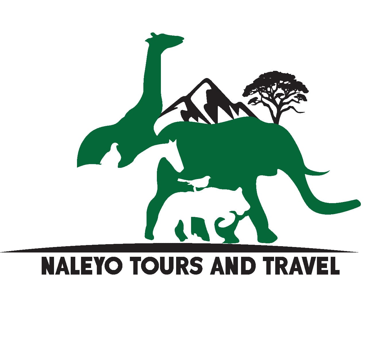 Naleyo Tours and Travel