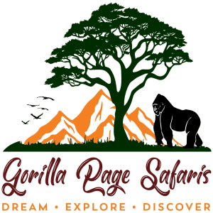 Gorilla Page Safaris
