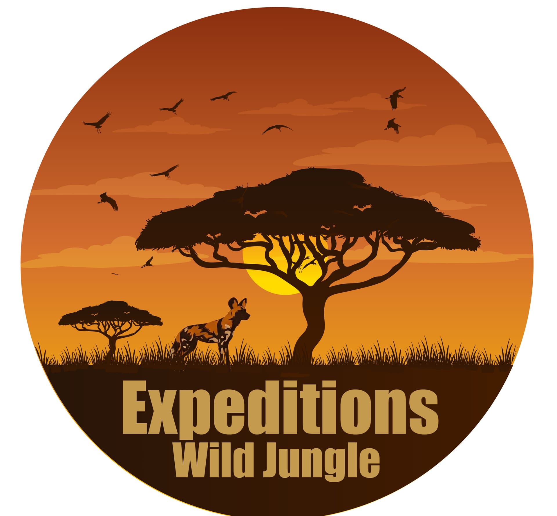 Expeditions Wild Jungle