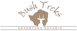 Bush Safaris