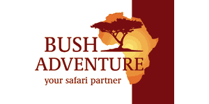 Bush Adventure Co.