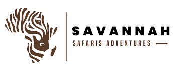 Savanna Wilderness Tours