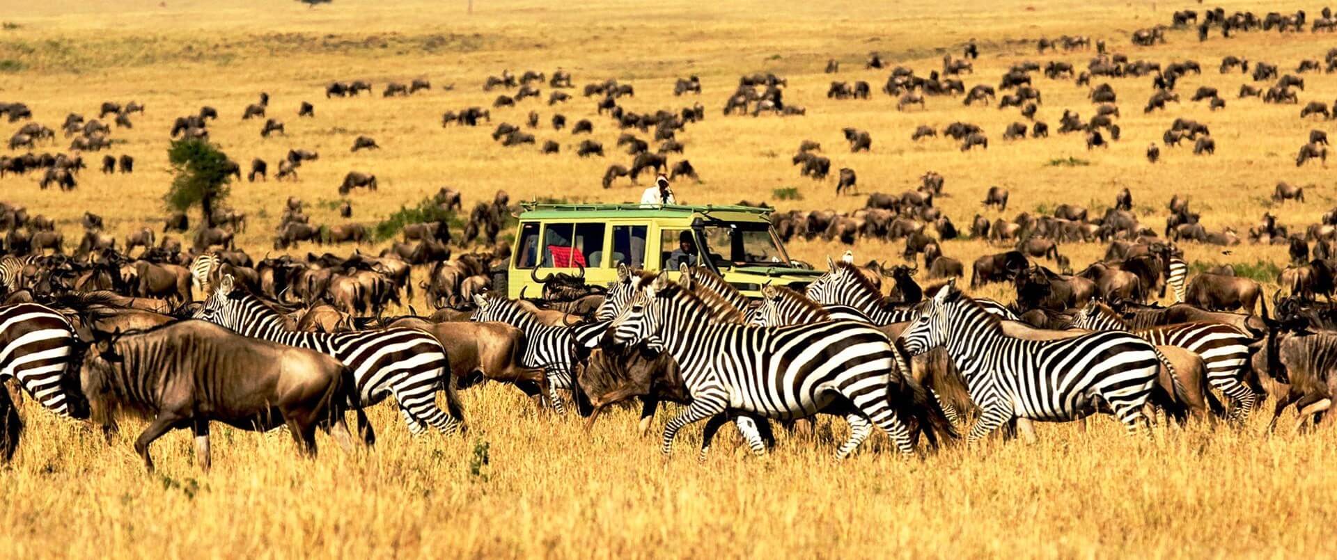 Serengeti National Park safari tours