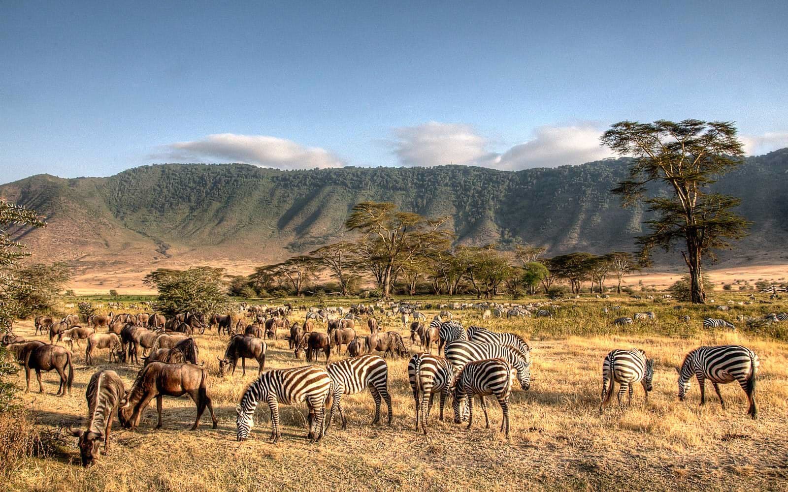 Ultimate Tanzania Safari Adventure