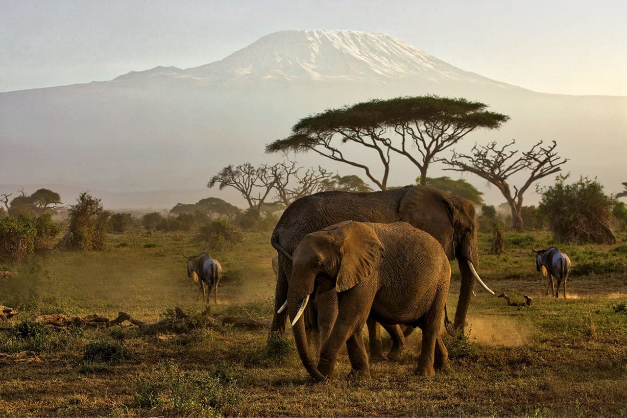 7-Days Classic Kenya Safari: Elephants, Lakes & Big Cats