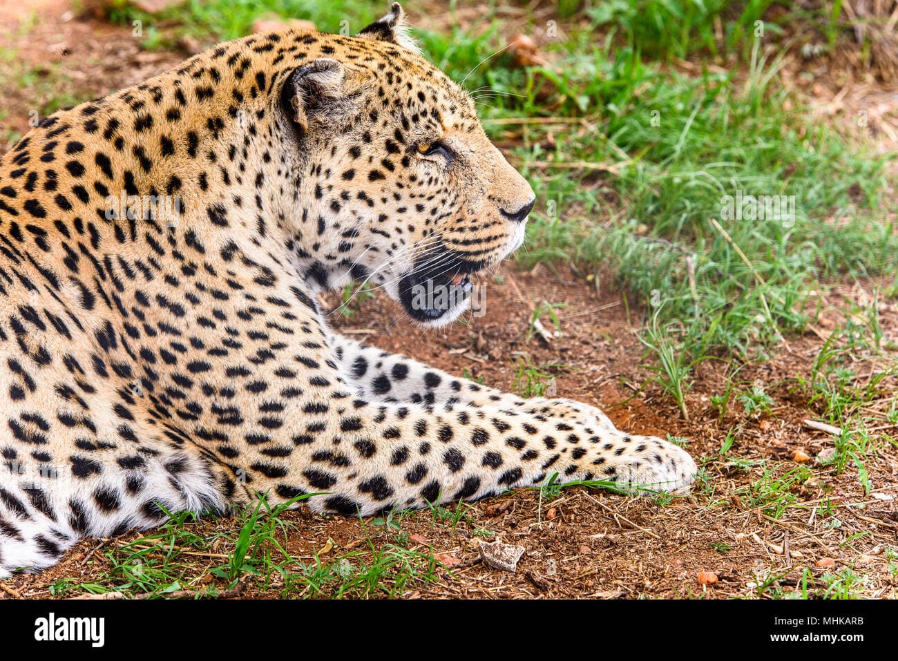 Namibia's Ultimate Wilderness Discovery