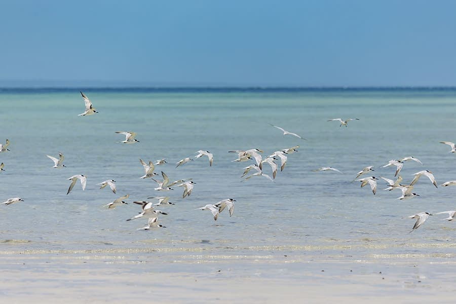 Vilanculos & Bazaruto Island Coastal Escape