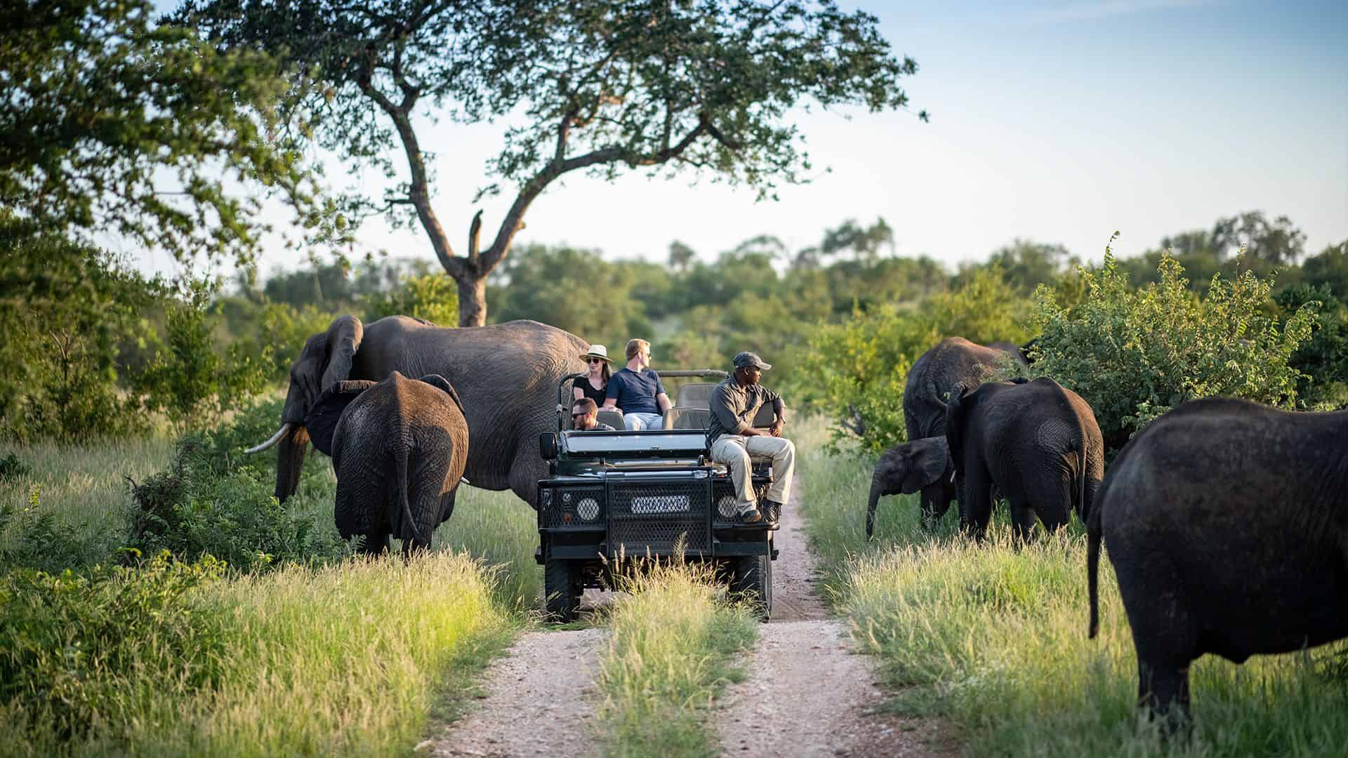 4-Day Kruger Safari & Panorama Route - Private Transfers