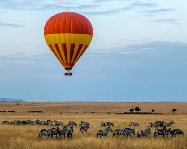 3-Day Magical Masai Mara safari