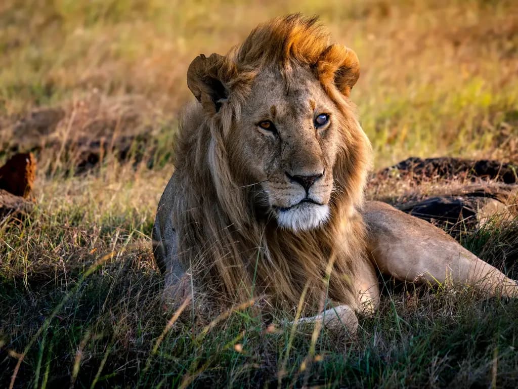 3-Day Maasai Mara Road Packages
