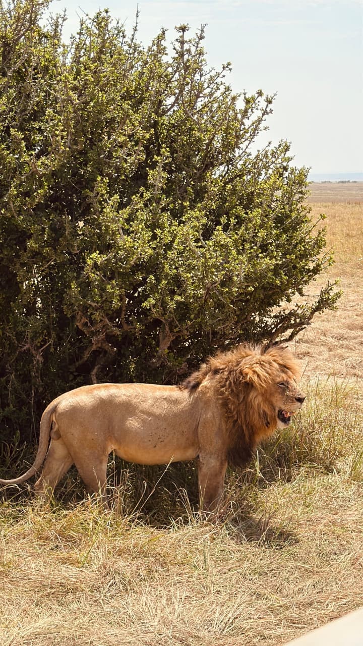 3-Day Amboseli, Tsavo East Private Safari