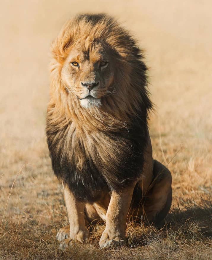 3-Day Serengeti, Ngorongoro Budget Safari