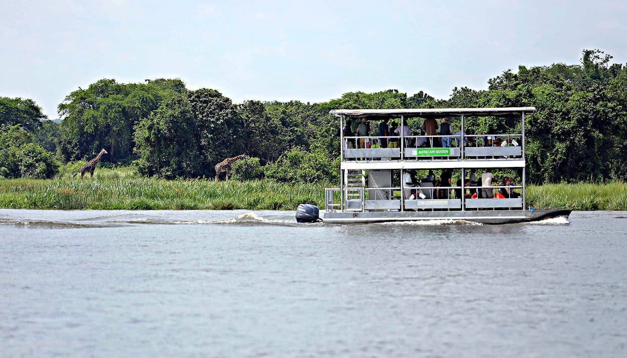 6-Day Budget friendly Big Five Combo, Chimps and Murchison Falls