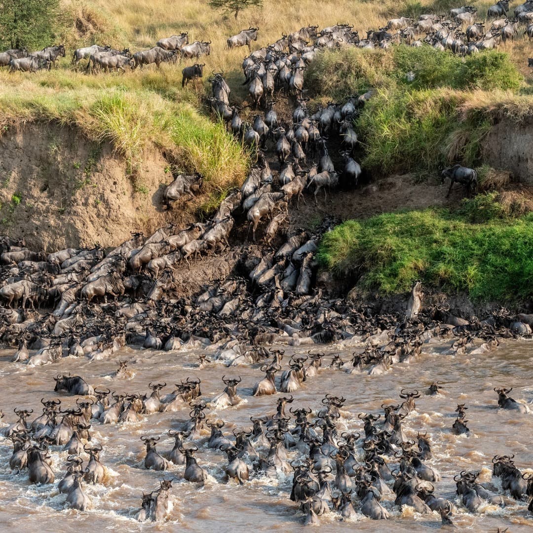 12-Day East Africa Experience: Uganda, Kenya & Tanzania