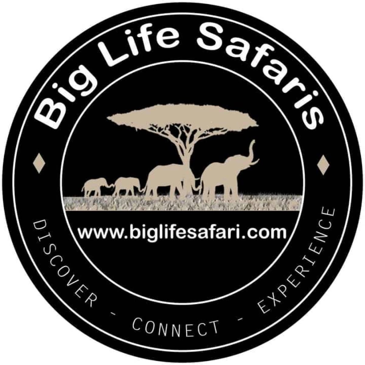 BIG LIFE SAFARI