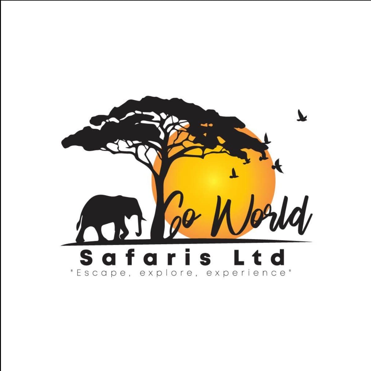 Go World Safaris Ltd