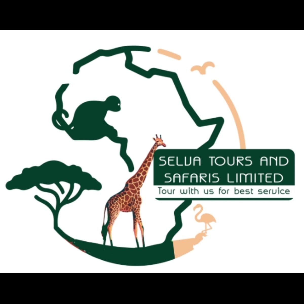 Selva Tours and Safaris Limited