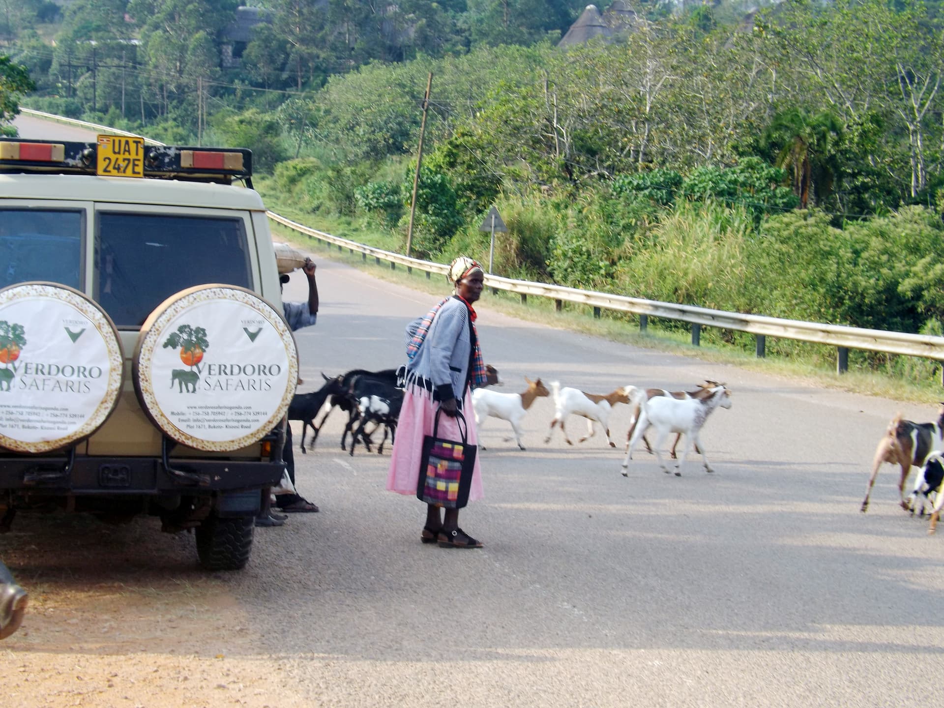 5-Day Photographer's, Content creator's & writer's promo tour (on 7th July 2026 )