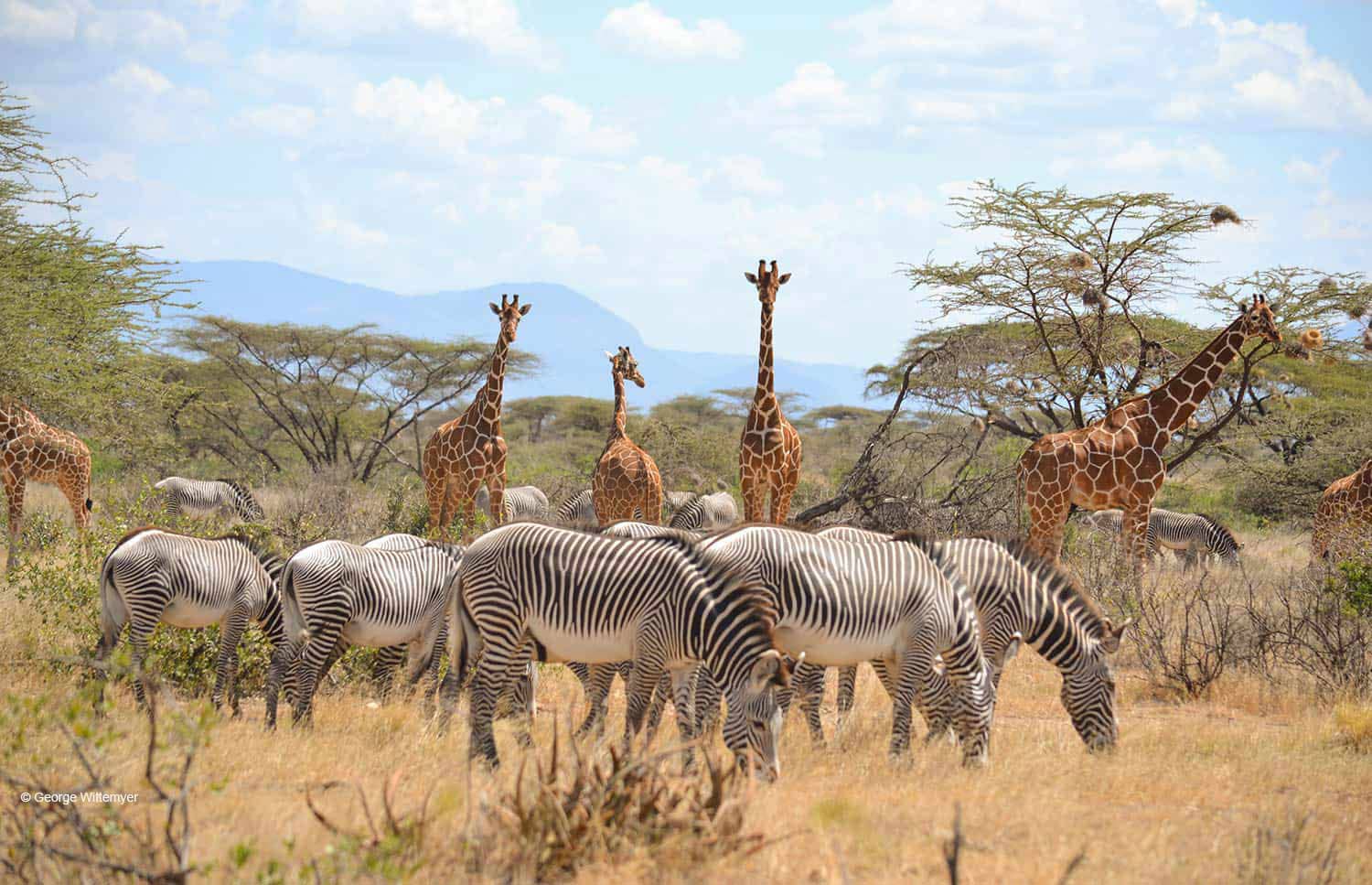 4-Day Spectacular Samburu