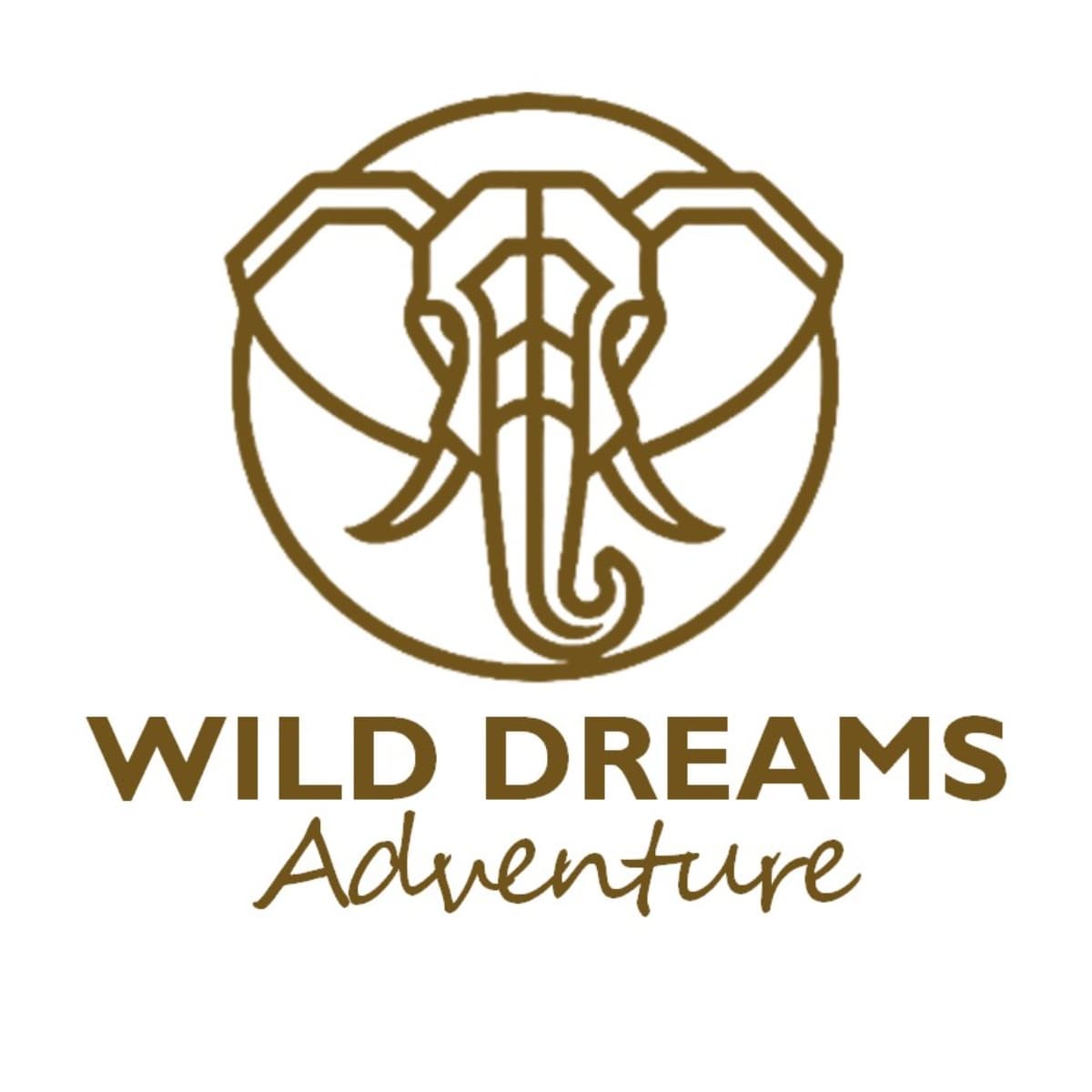 Wild Dreams Adventure