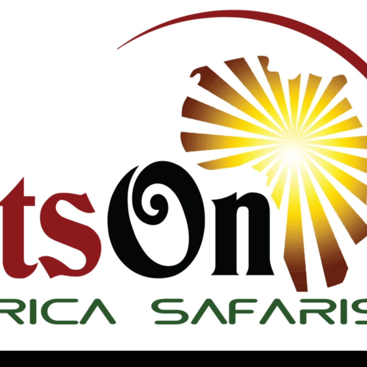 Lights on Africa Destinations & Safaris