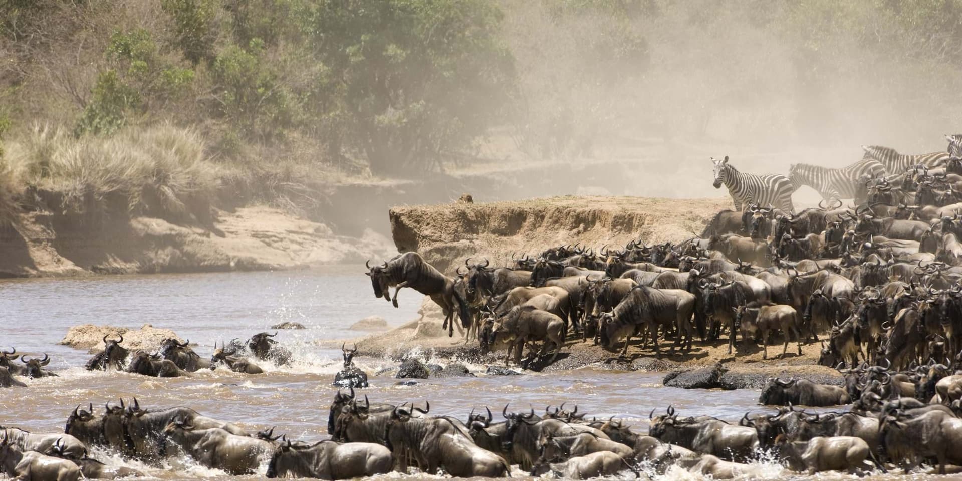 3-Day MAASAI MARA GROUP JOINING SAFARI WITH LANDCRUISER