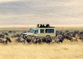 7-Day CLASSIC NORTHERN TANZANIA SAFARI
