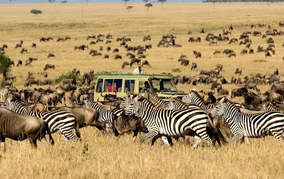 6-Day Tanzania big five Explorer