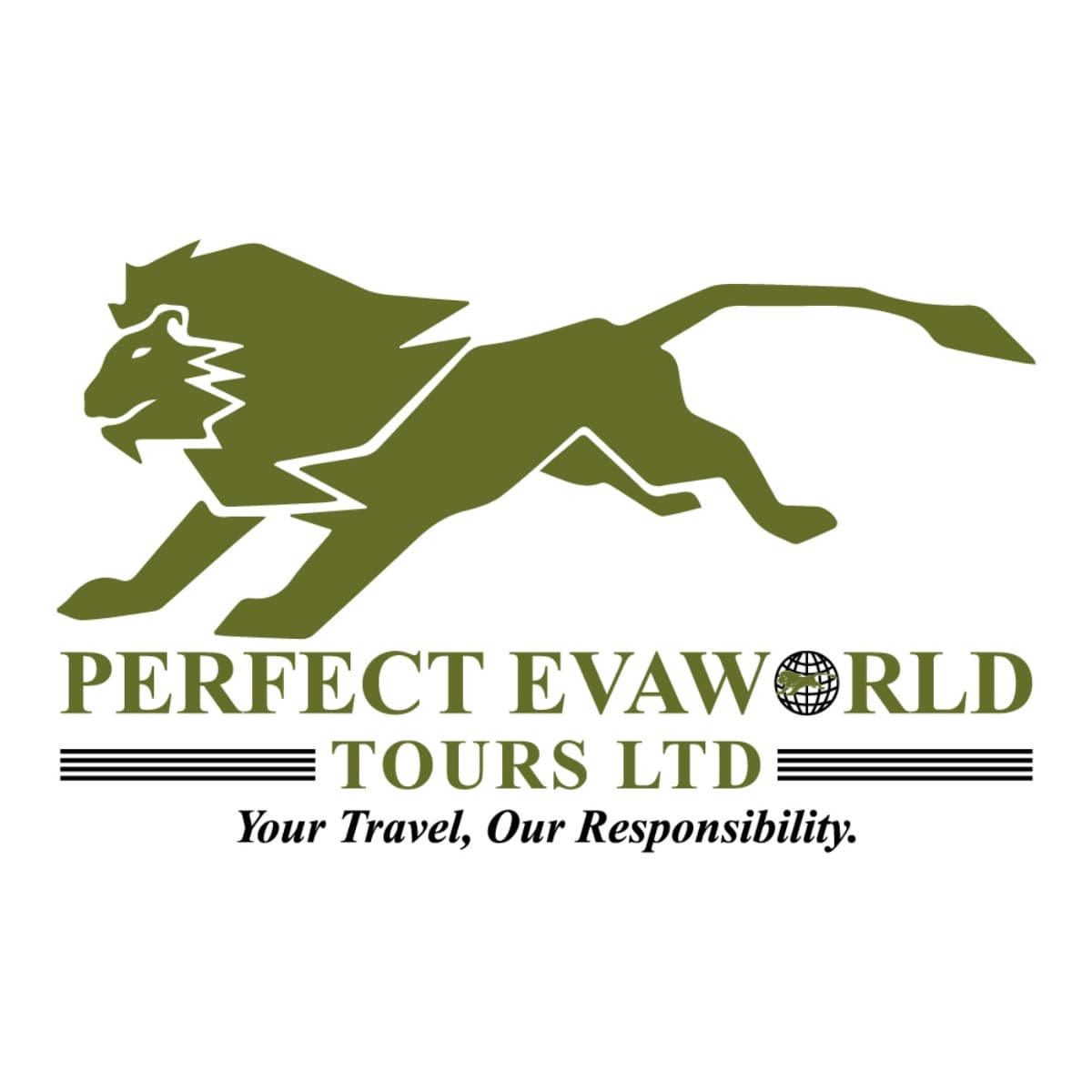PERFECT EVAWORLD TOURS AND SAFARI