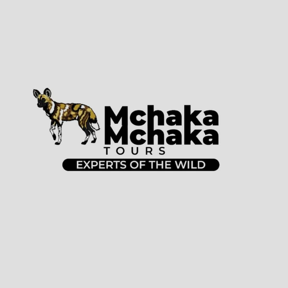 Mchakamchaka Tours