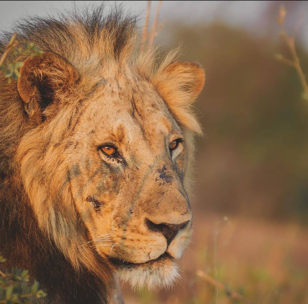 3-Day 2-Nights Mikumi National Park by Train