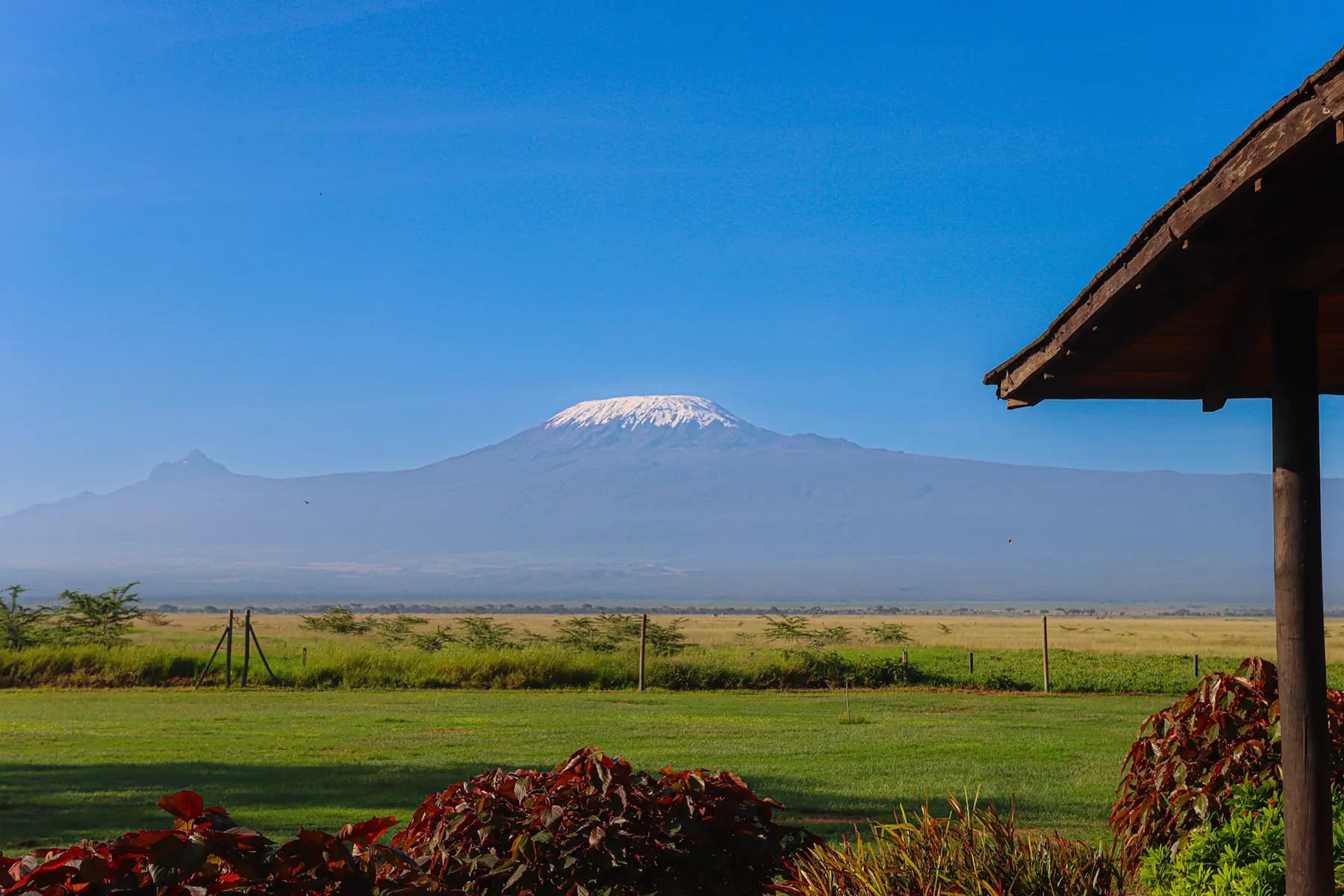 6-Day Icons of Kenya: Amboseli Elephants & Maasai Mara Plains