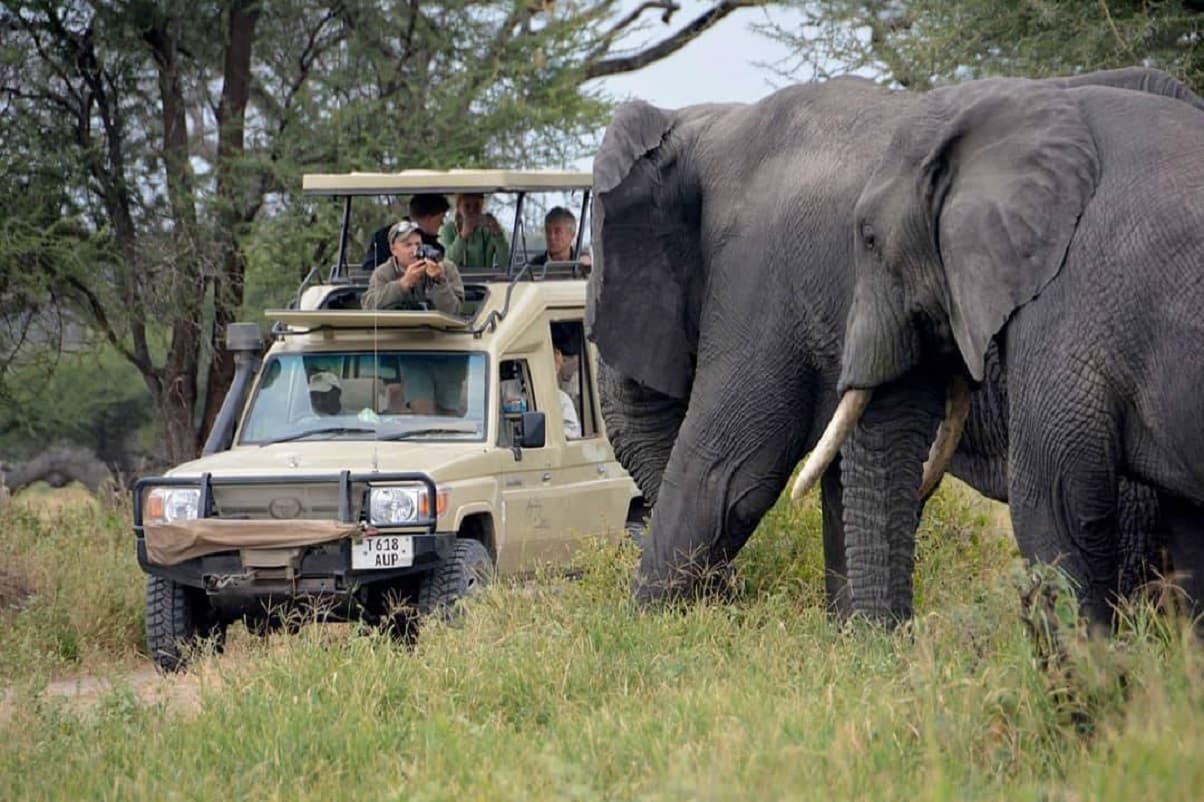 10-Day Premium Tanzania Wildlife Safari & Zanzibar Island Experience