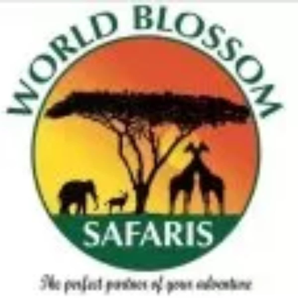 WORLD BLOSSOM SAFARIS LTD