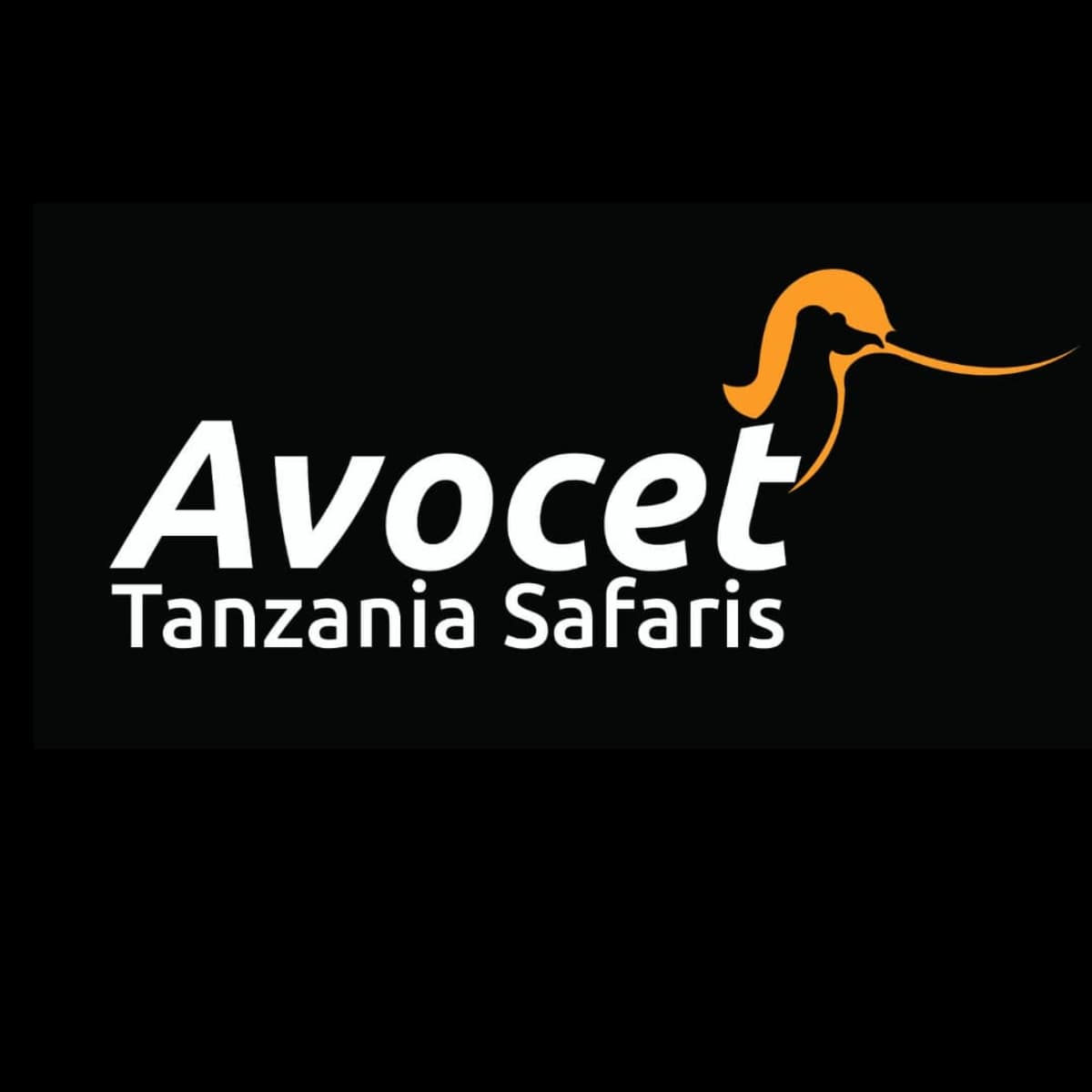 Avocet Tanzania Safaris