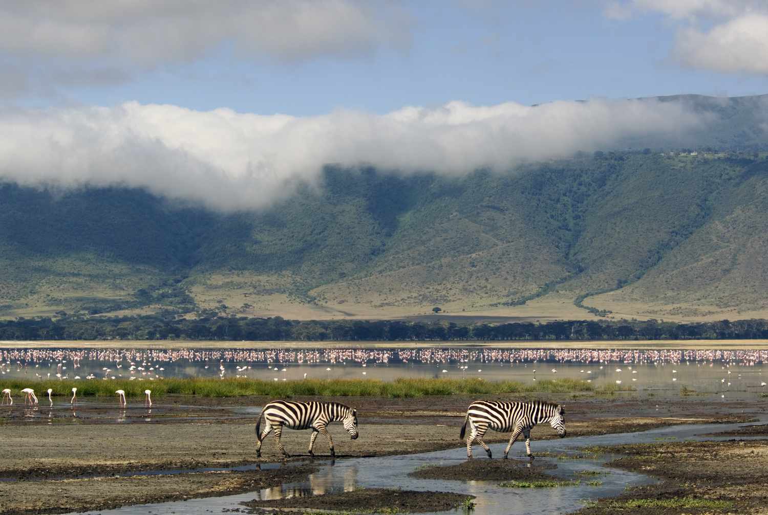 1-Day Explore the Ngorongoro Crater