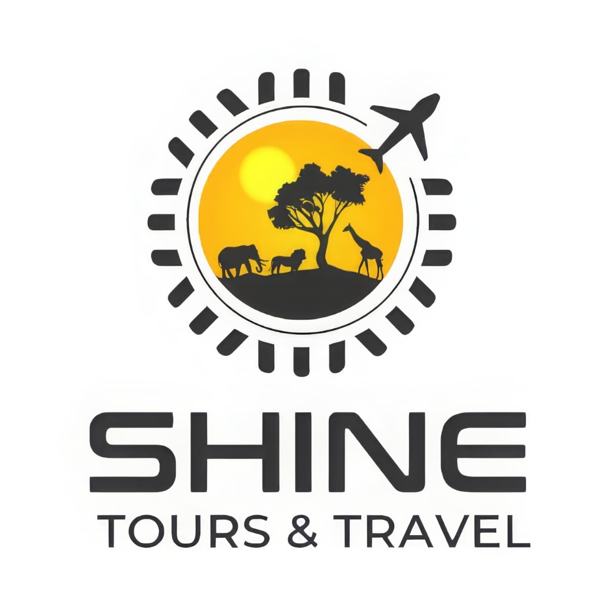 Shine Tours and Travel