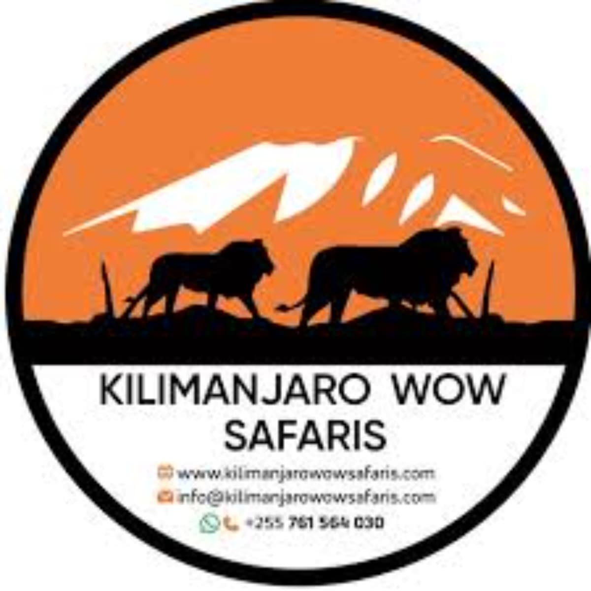 kilimanjaro wow safaris