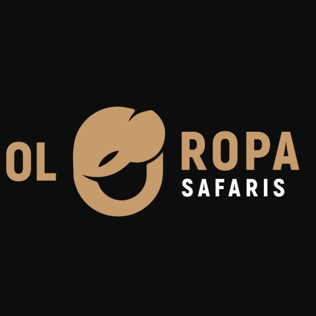 Oloropa Tours & Travel