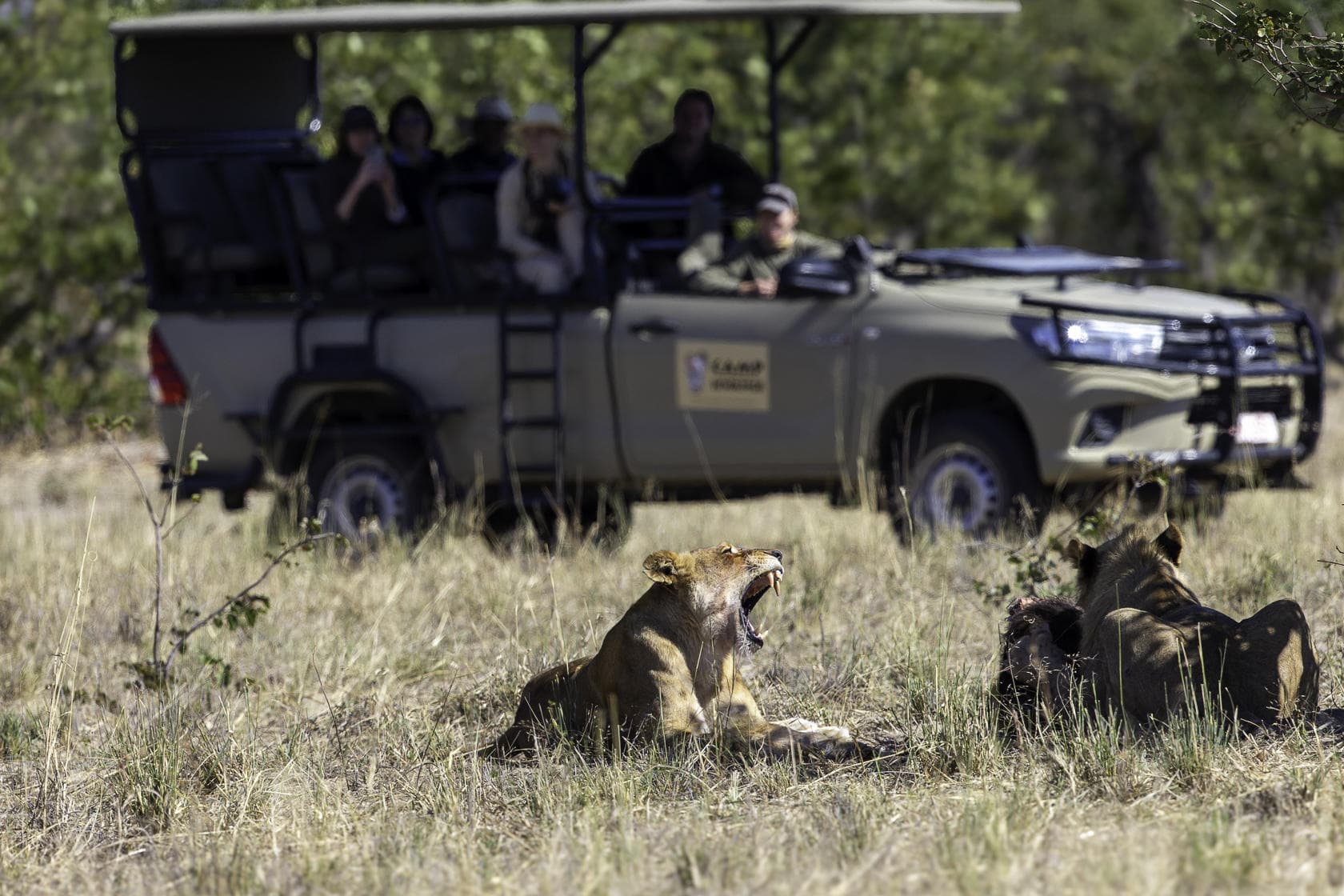 6-Day Victoria Falls & Hwange Luxury Safari Experience