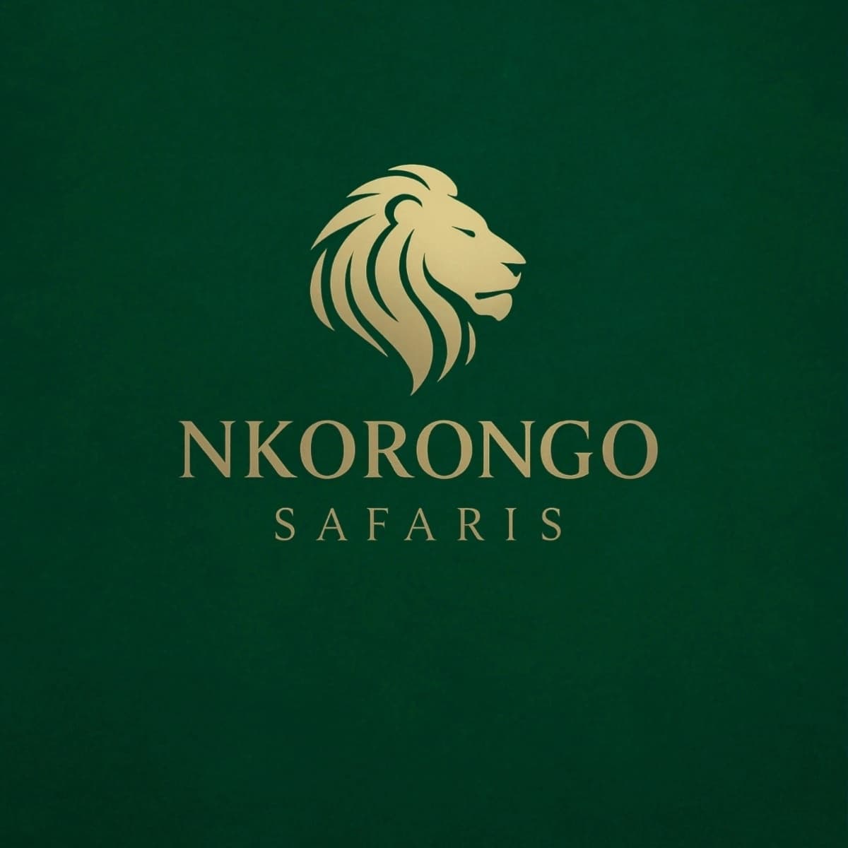 Nkorongo Safaris