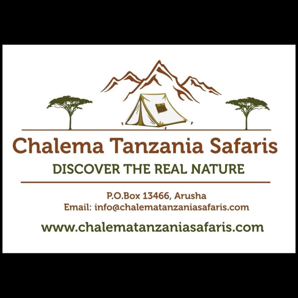 Chalema Tanzania Safaris