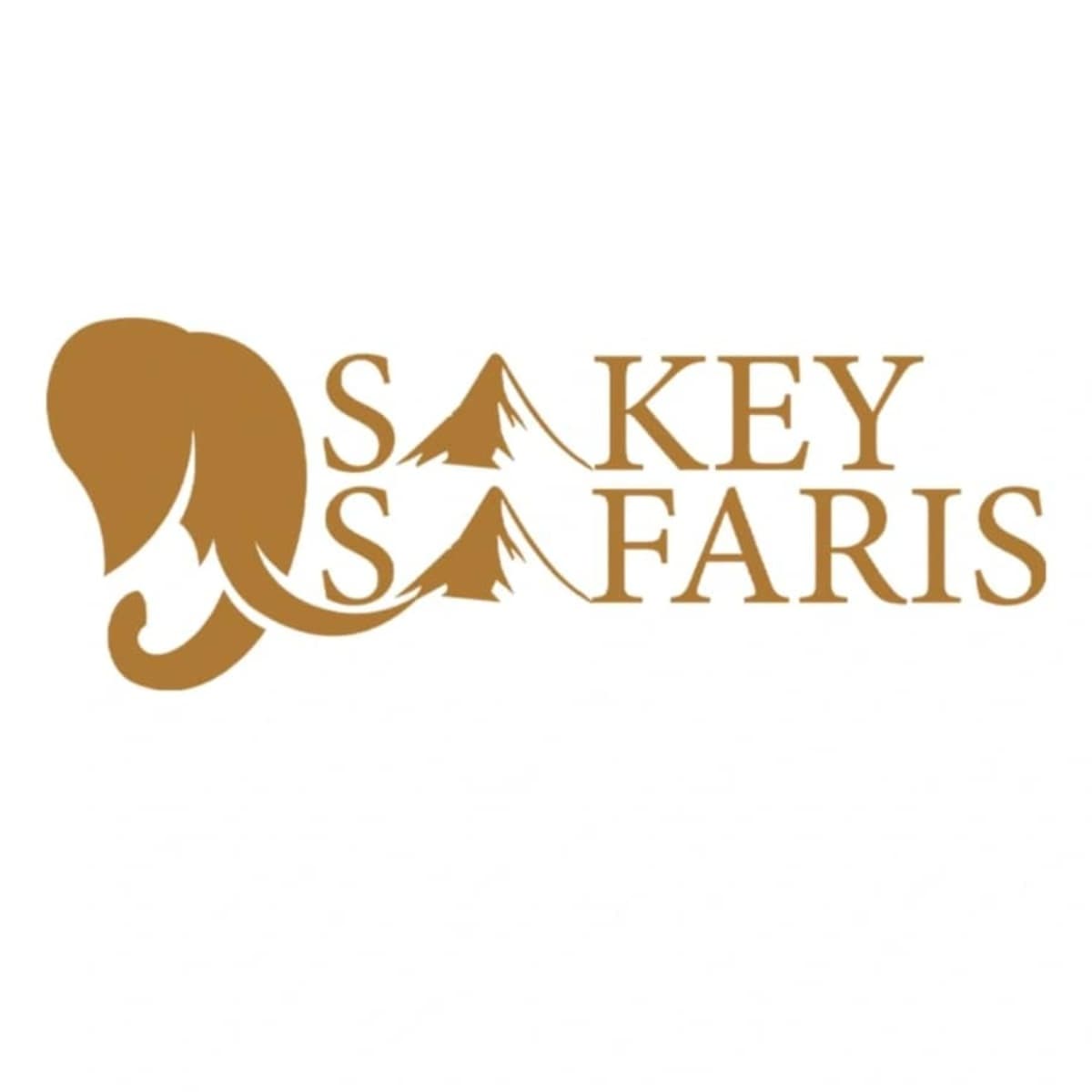 Sakey Safaris