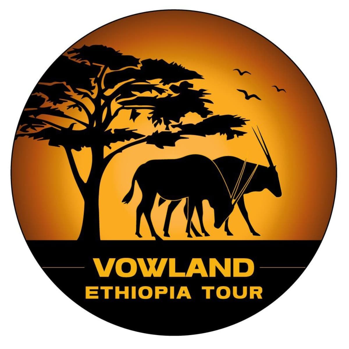vowland Ethiopia Tour and Travel