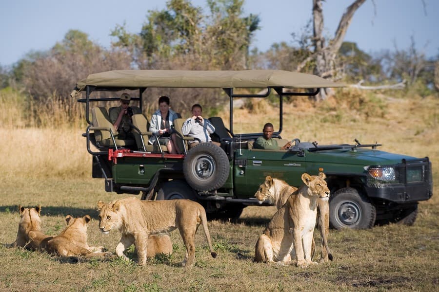 6-Day Victoria Falls, Hwange National Park and Chobe National Park Safari